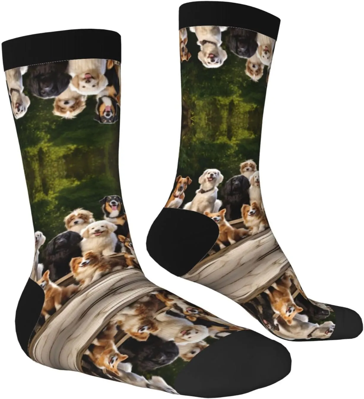 Dog Breed Print Fun Contrast Socks,Novel Crazy Cool Socks,Pattern Funky Novelty Socks,Unisex Bulk Socks