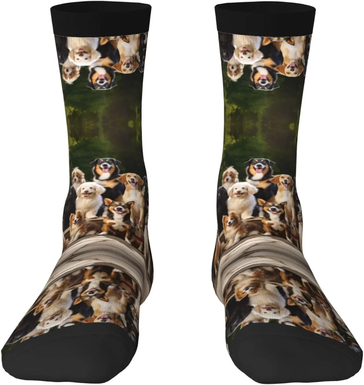 Dog Breed Print Fun Contrast Socks,Novel Crazy Cool Socks,Pattern Funky Novelty Socks,Unisex Bulk Socks