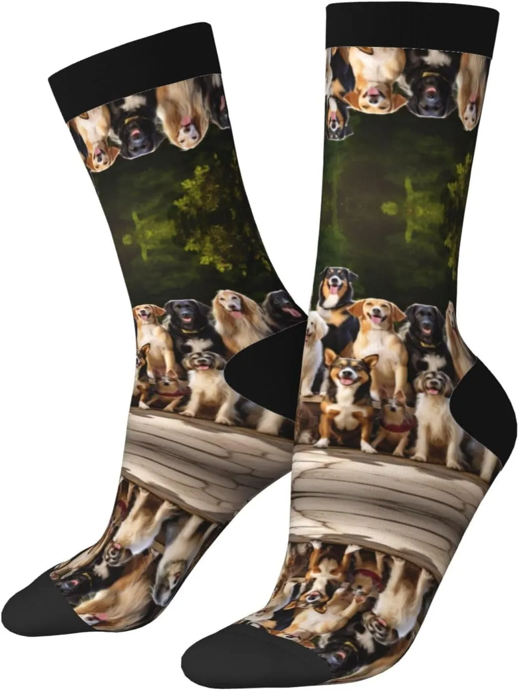 Dog Breed Print Fun Contrast Socks,Novel Crazy Cool Socks,Pattern Funky Novelty Socks,Unisex Bulk Socks